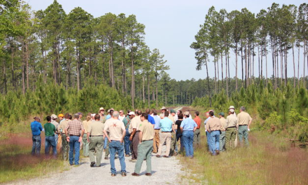 Extension Forestry Programming in South Carolina: Preferred Topics and Delivery Method