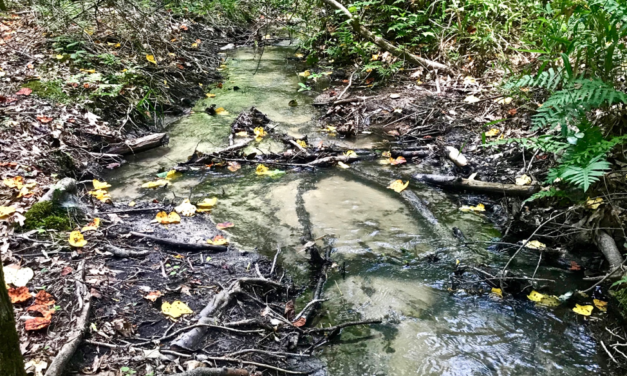 The Importance of Headwater Streams