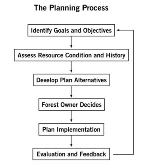 Planning process flow chart; 1. Identify goals and objectives 2. Assess resource condition and history 3. Develop plan alternatives 4. Forest owner decides 5. Plan implementation 6. Evaluation and feedback