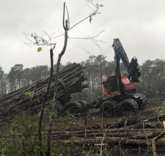 An eight-wheeled clambunk skidder with loading crane is partially loaded with tress and the grapple of the crane is reaching for additional trees.