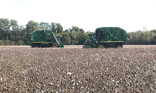 Precision Agriculture: Cotton Picker Yield Monitor Calibration