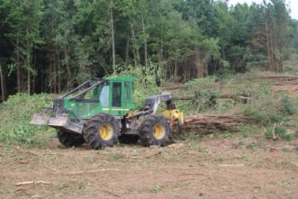 A grapple skidder on four-wheels with a bunch of pine trees in its grapple.