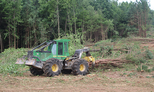 Factors Influencing Productivity and Cost in the Whole-Tree Harvesting System