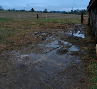 excessive mud with puddles next to a barn wall