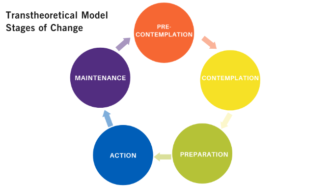 Changing From Within: How Professional Development Can Transform Your ...