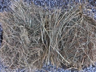 Coastal bermudagrass and fescue hay.