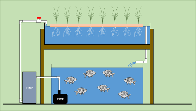 Diagram of a deep water system with plants suspended in water and fish in a trough below.