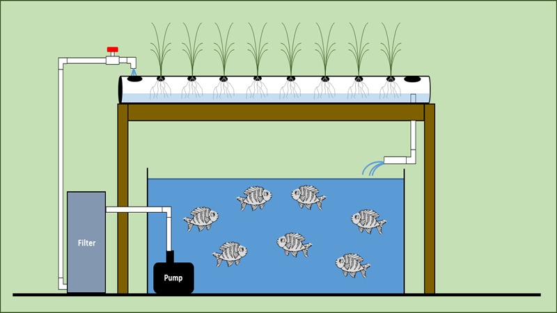 Diagram of a hybrid nutrient film technology system with plants growing in horizontal tubing.