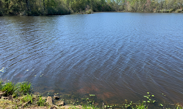 Recreational Ponds in South Carolina