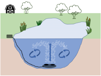 A graphic depicting the cross section of a pond, including a device releasing air at the bottom of the pond. The air then bubbles to the top and helps circulate the water column. 