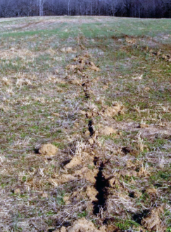 A trench cut into a field.
