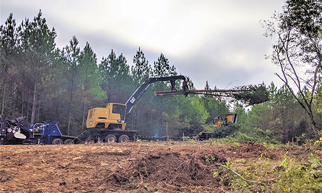 Logging Operations and Soil Compaction