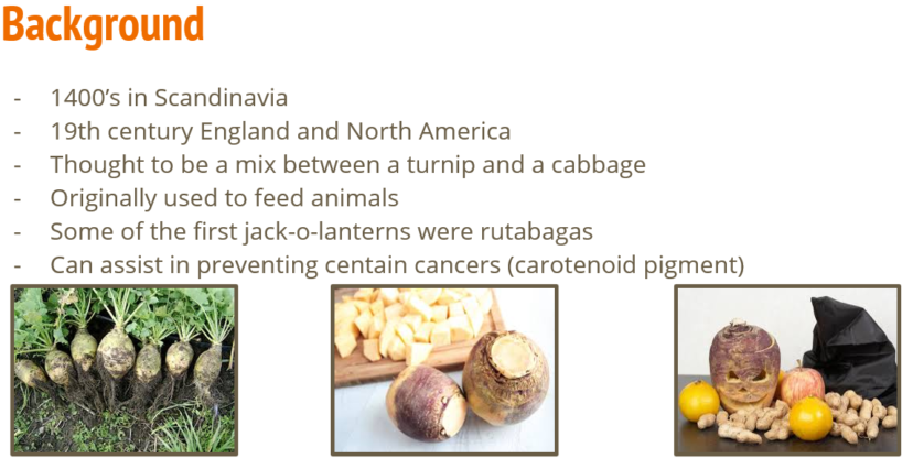 Presentation slide showing details about the historical background of an American puple top rutabata.