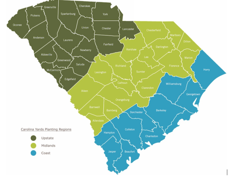 Native Plant Selection for Out-of-Play Areas of South Carolina Golf ...