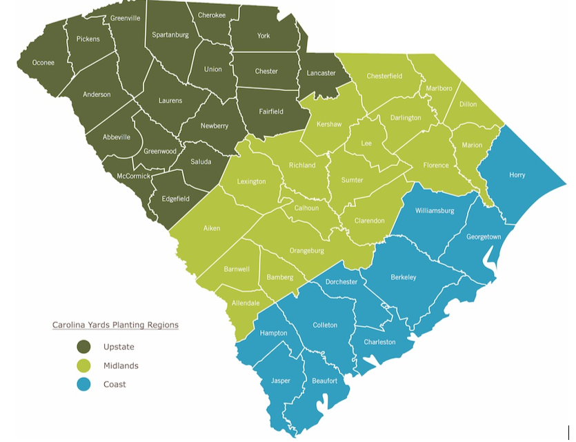 Map of South Carolina counties color coded by planting regions.