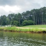 Native Plant Selection for Out-of-Play Areas of South Carolina Golf Courses