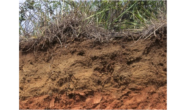 Interpreting Routine Soil Tests