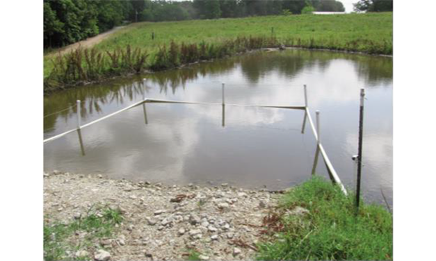 livestock-ponds-in-south-carolina-land-grant-press