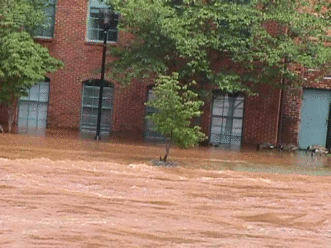 Flash flooding in a city street.