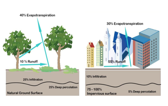 An illustration of the hydrologic cycle with forests and urbanization examples.