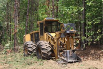 A picture of a parked wheeled feller-buncher in front of a pine stand.