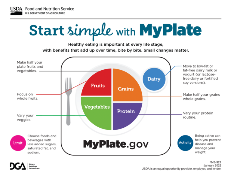 my-plate-planner-adults