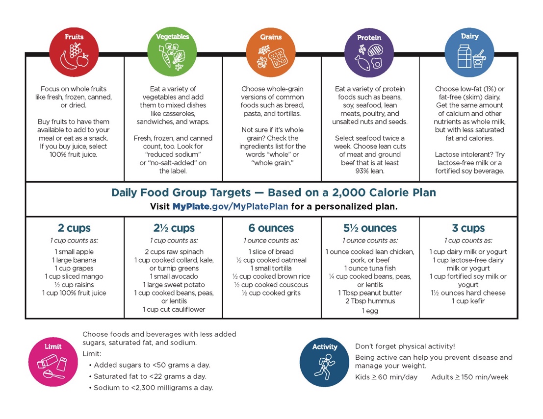 MyPlate daily food targets including types and amounts for fruits, vegetables, grains, protein, and dairy.