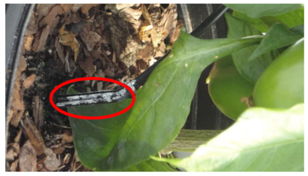 Clogging Prevent Micro-Irrigation System Maintenance to Prevent Clogging | Land-Grant Press