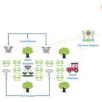 Empowering Precision Agriculture with the Internet of Things, Artificial Intelligence, and Robotics